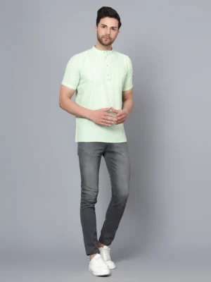 Men's Light Green Cotton Kurta with Sky Blue Striped Print and Mandarin Collar